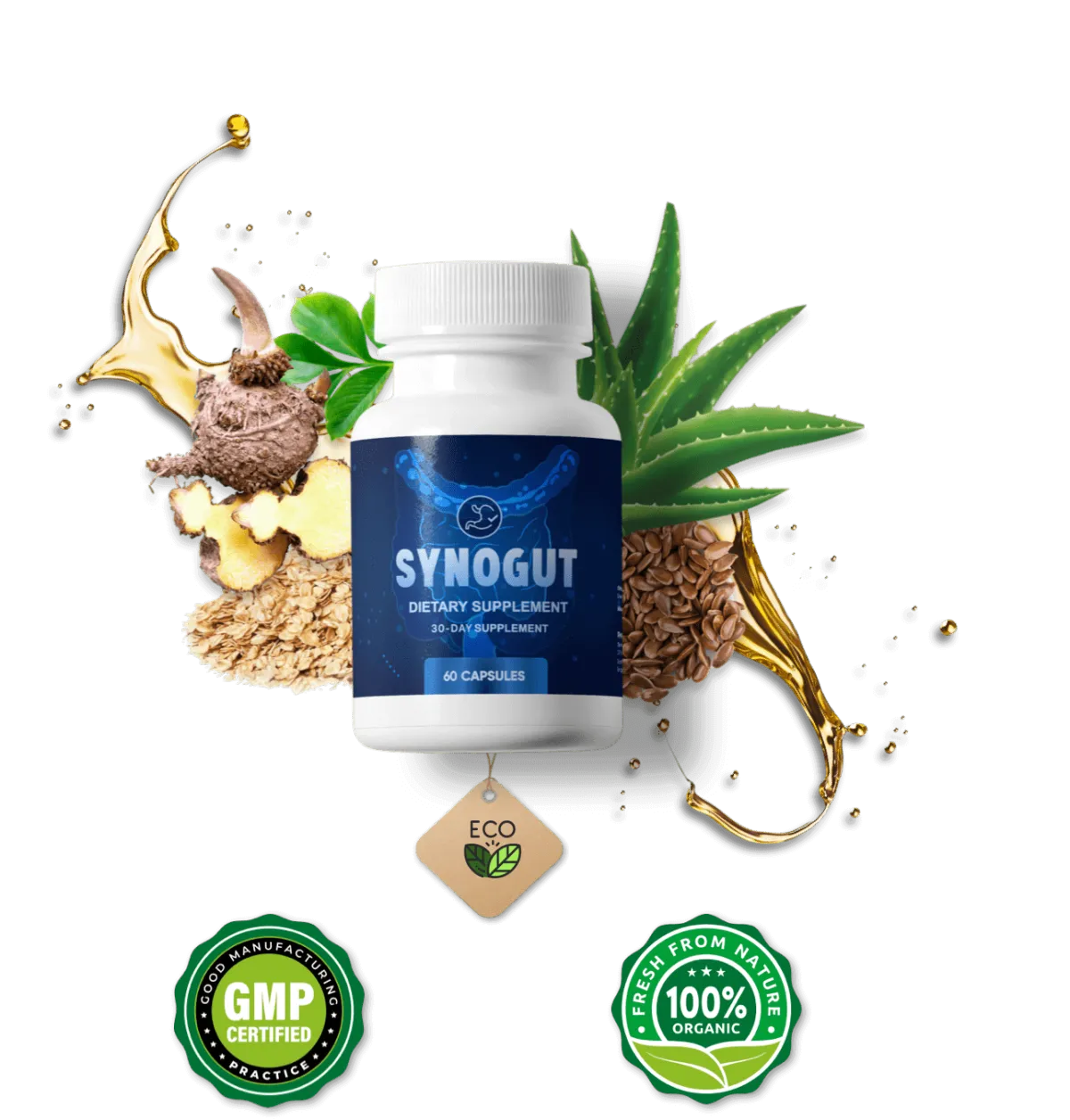 Synogut Natural Digestive Health Supplement
